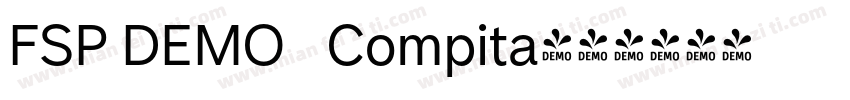 FSP DEMO   Compita字体转换